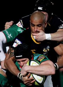 Scarlets draw Wasps' sting