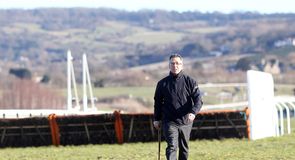 Cheltenham Trials Day