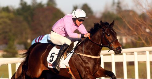 Solwhit Irish Champion
