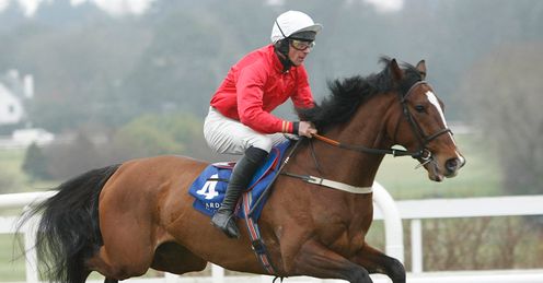 Pittoni Leopardstown
