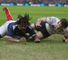 Scots handed French lesson