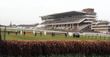 Cheltenham Festival Day 4