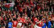 Wales 33 Italy 10