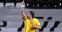 Elmander in Sweden squad