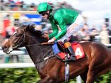 Bullwhip (IRE)