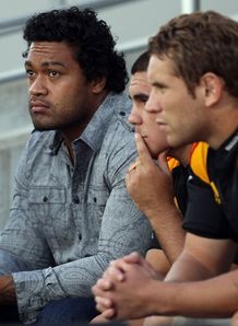 Foster's support for Lauaki