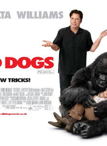 Old Dogs