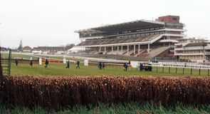 Cheltenham Festival Day 4