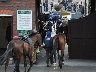 Horses arrive at the racecourse stables.