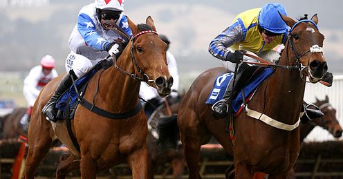 Reve De Sivola Peddlers Cross Neptune Cheltenham 2010