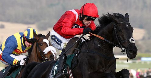 Sanctuaire Jumps Last Fred Winter Hurdle Cheltenham 2010