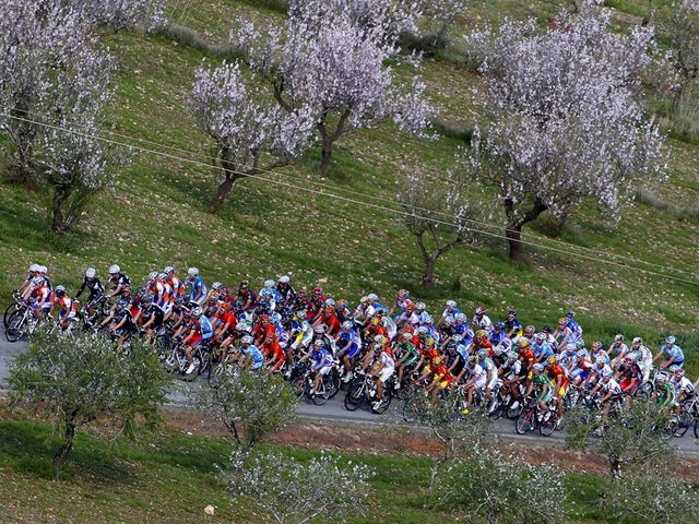 Temperate conditions should greet the riders