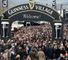 Horse Racing Competitions