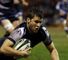 Sharks draw sting from Wasps