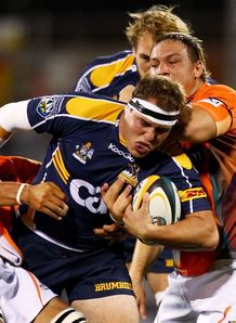 Ben Alexander against Cheetahs Ben Alexander against Cheetahs