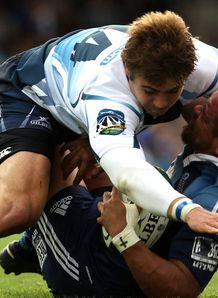 Blues v Bulls rumbletumeble Blues v Bulls rumbletumeble