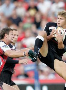 Lambie Lions Sharks Lambie Lions Sharks