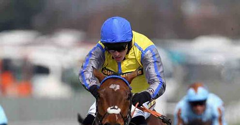 peddlers cross