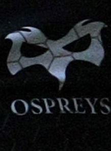 Ospreys Badge