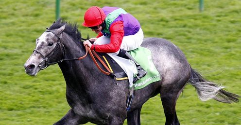 Oasis Dancer Newmarket