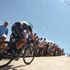 Stage 16 Photo Gallery