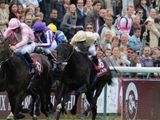 Cavalryman