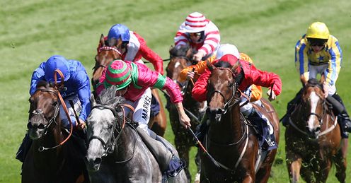 Bushman Epsom