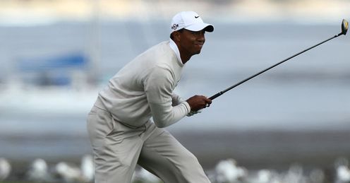 Tiger is on the prowl.