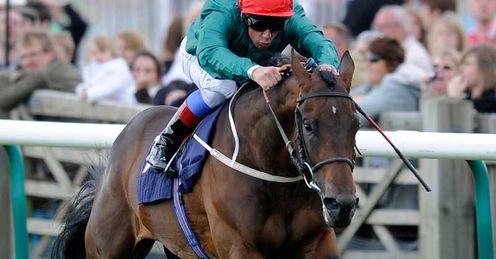 Monterosso: Alex's tip for the Dubai World Cup