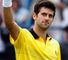 Djokovic: Not fancied