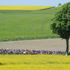 Luxembourg day three photos