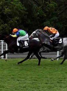 Cup glory for Illustrious
