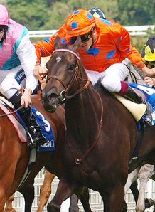 Midday wins second Nassau 