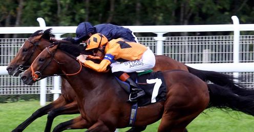 Canford Cliffs Rip Van Winkle