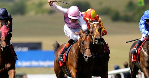 King Torus Newmarket