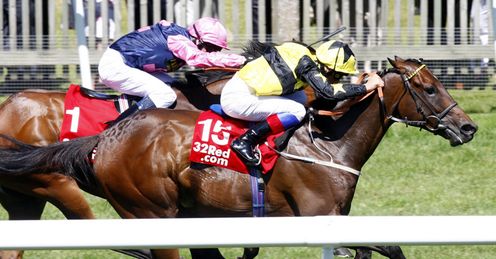 St Moritz Newmarket