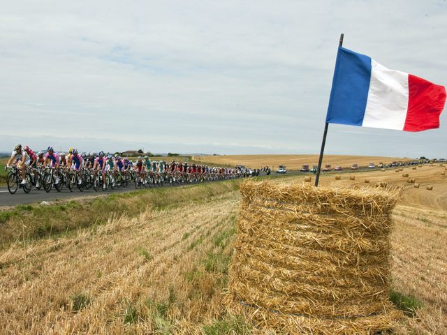 The 2010 Tour de France in pictures