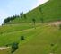 The Col de Peyresoudre was the first climb of the day...