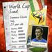 World Cup Scout - Domenico Criscito