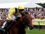 Opinion Poll (IRE)
