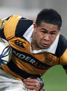 david smith taranaki david smith taranaki