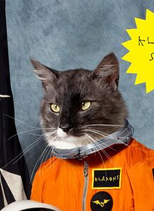 Klaxons