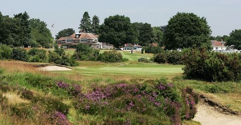 The beautiful heather of the New Course at Sunningdale in Surrey, England.