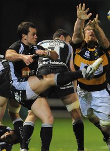 Micky Young NEwcastle wasps Micky Young NEwcastle wasps