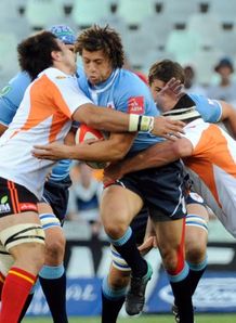 Zane Kirchner blue bulls Cheetahs Zane Kirchner blue bulls Cheetahs
