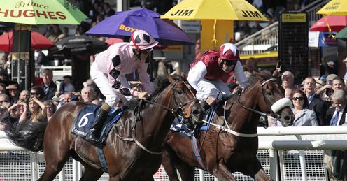 Pathfork National Stakes