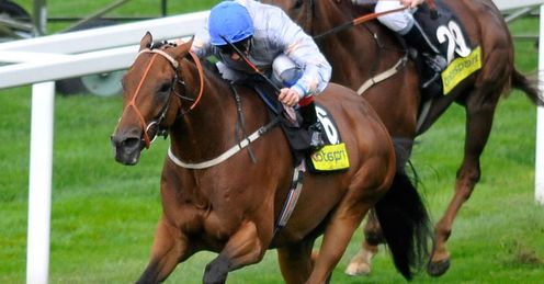 Redford Ascot