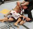 UFC 119
