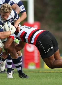 Daniel Braid of Auckland Daniel Braid of Auckland