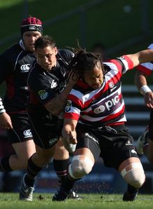 Luke McAlister Tana Umaga Counties Manukau North Harbour Luke McAlister Tana Umaga Counties Manukau North Harbour